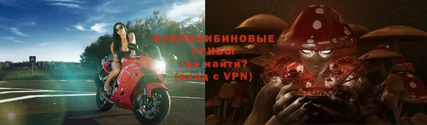 герыч Арсеньев
