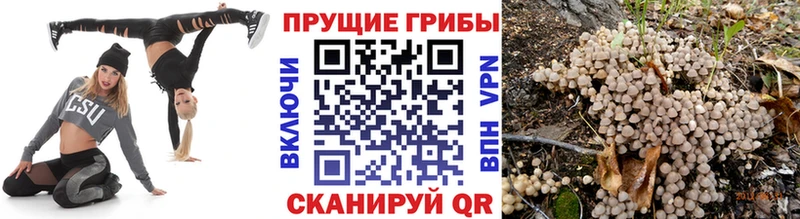 наркошоп Судак Галлюциногенные грибы мухоморы